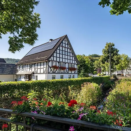 Veischedetal Im Sauerland Apartman Lennestadt